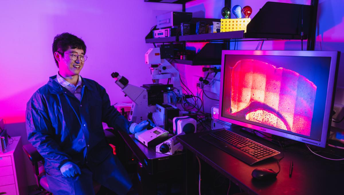 Zhao studies fluorescent images of the mouse brain on a large monitor connected to a high-resolution microscope
