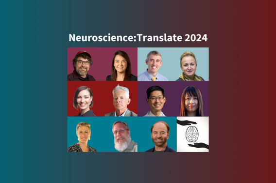 Neuroscience:Translate 2024 awardees; Top row from right Anthony J Ricci, Kristen K Steenerson, Paul George, Daria Mochly-Rosen. Middle row from right Michelle L James, Hannes Vogel, Michael Lim, Xinnan Wang. Bottom row from right Sarah C Heilshorn, Theo Palmer, Gary K Steinberg, Neuroscience:Translate logo.