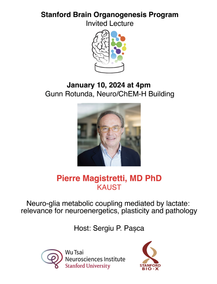 Pierre Magistretti - Neuro-glia metabolic coupling mediated by lactate: relevance for neuroenergetics, plasticity and pathology