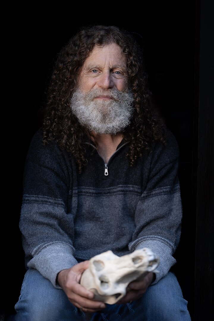 Portrait of Robert Sapolsky seated holding a baboon skull