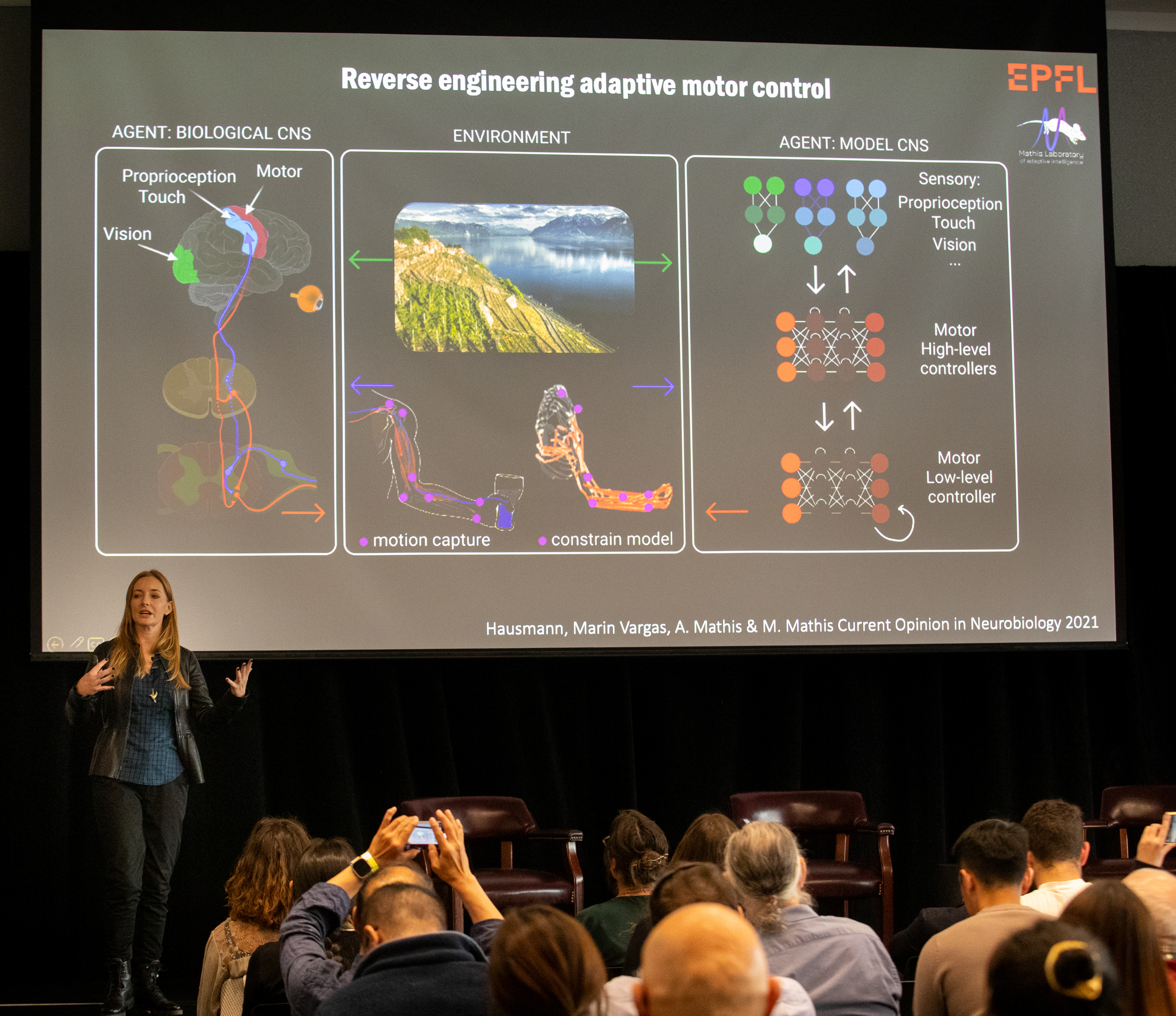 Mackenzie Mathis presents in front of a large screen at the 2024 Wu Tsai Neurosciences Institute Brains & Machines Symposium