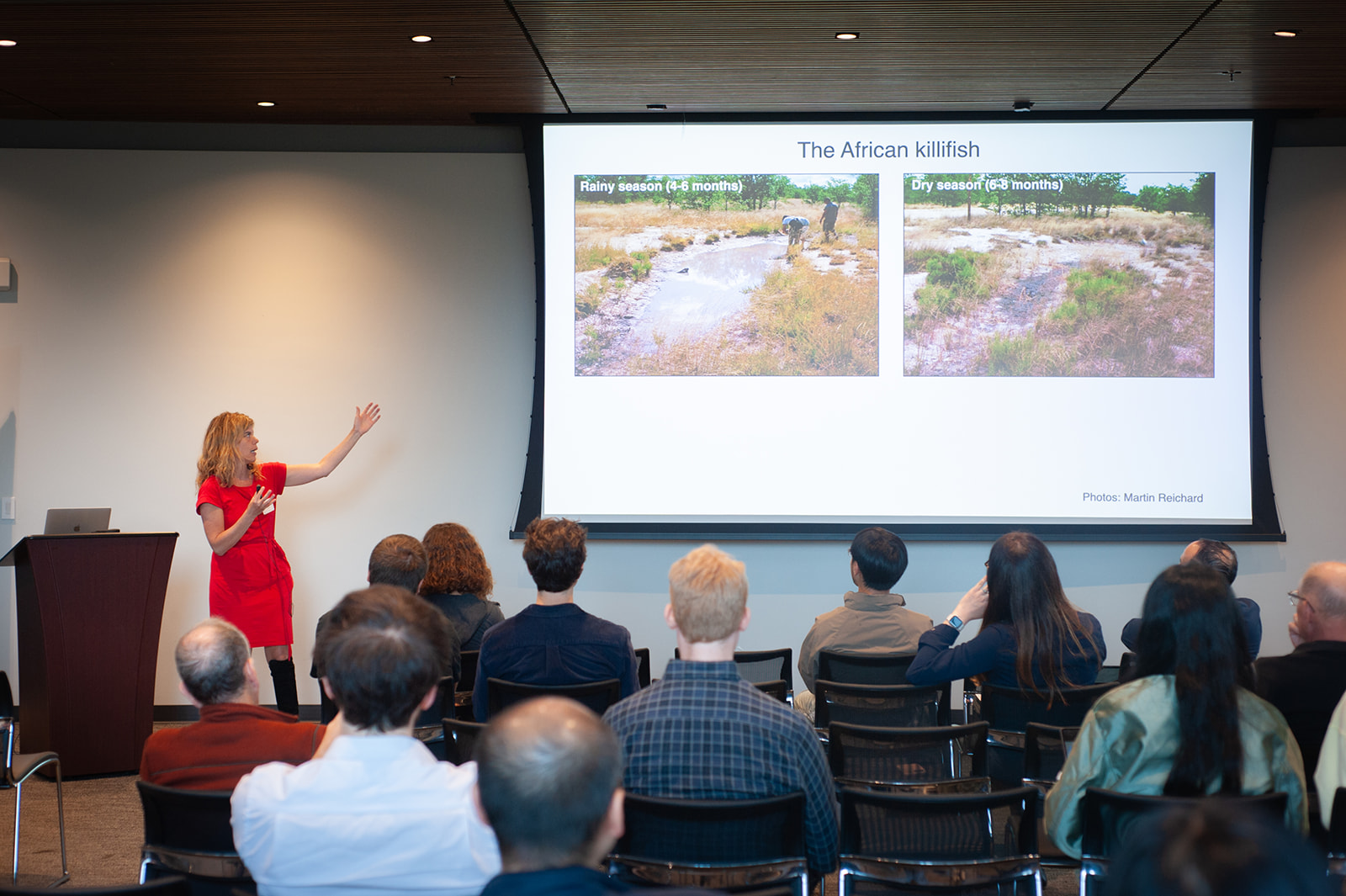 Anne Brunet describes research on the African killifish.