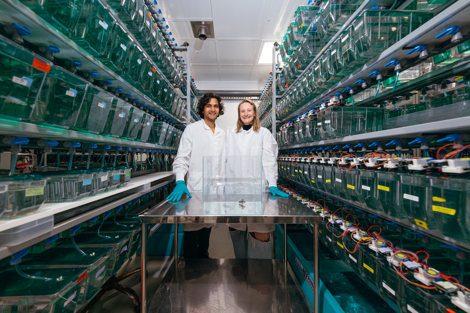 Ravi Nath and Claire Bedbrook stand in an aisle of shelves filled with fish tanks.