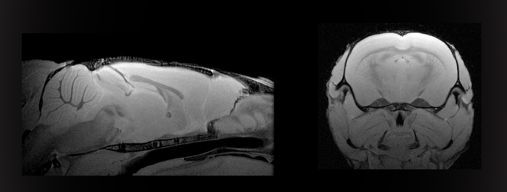 Neurosciences Preclinical Imaging Laboratory | Wu Tsai