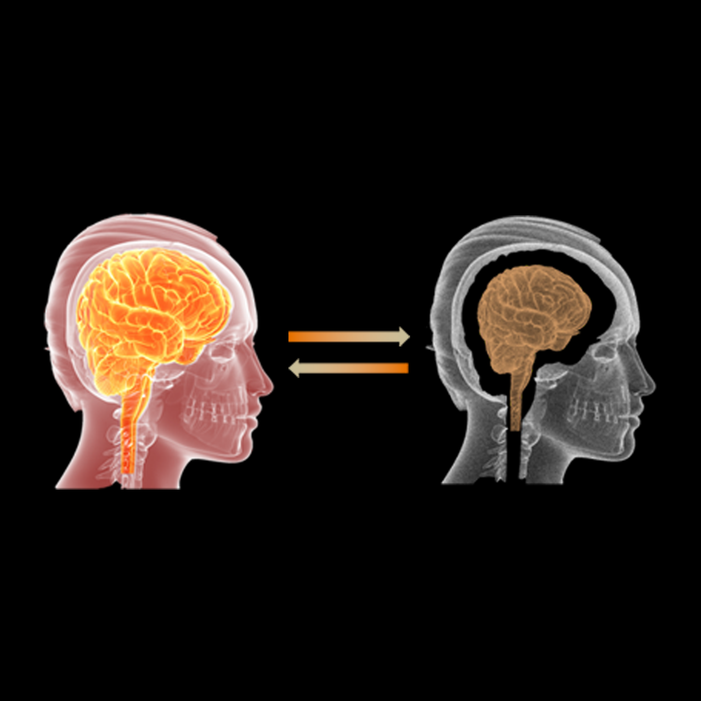 Stanford Brain Rejuvenation Project Mini-Symposium (February 2018) | Wu ...
