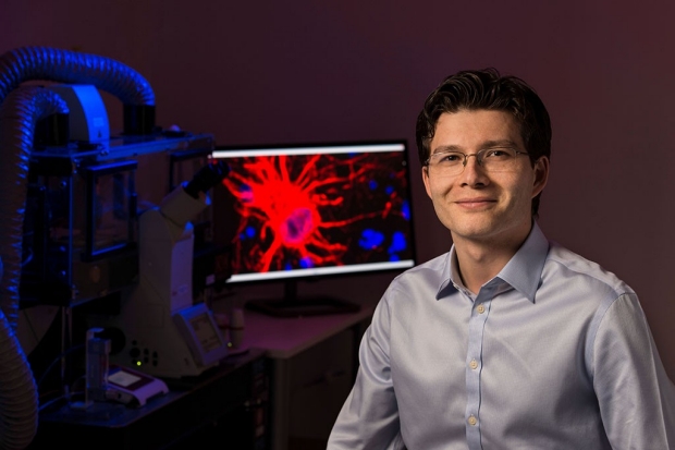 Sergiu Pasca created neural spheroids