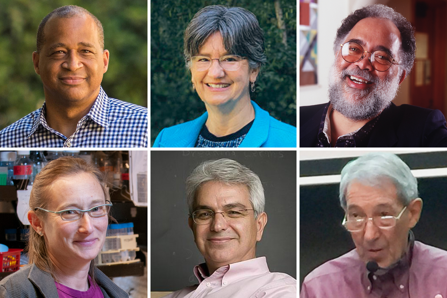 six faculty elected