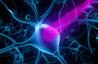 optogenetics nerve cells