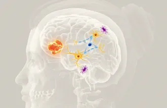 Tumors interact with surrounding neurons to promote their survival and growth.