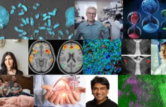 A compilation of images from the top stories of Stanford Medicine