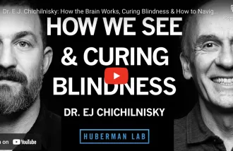 Dr. E.J. Chichilnisky: How the Brain Works, Curing Blindness & How to Navigate a Career Path