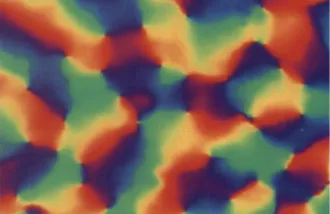 Biological neurons organized by line orientation they are most selective for; Blasdel 1992, Macaque V1*