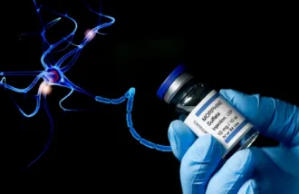 Stanford Medicine research has found that adaptive myelination, the neuronal process by which we improve our skills, can lead to morphine addiction in mice.  Sherry Young and Alex Mit - stock.adobe.com