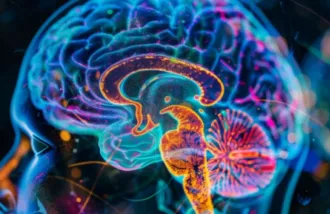 Image of a brain scan