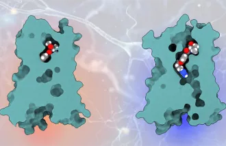 Compound to relieve pain 