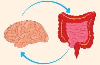 Gut-brain connections