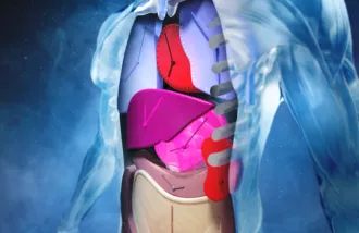 An illustration of internal organs depicted as clocks inside a clear human body.