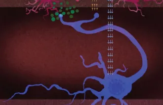 An illustration of a blue neuron on a maroon background.