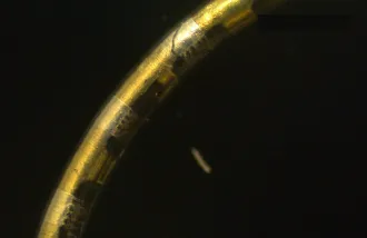 A brass-colored metallic filament.