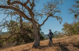 Deborah Gordon at a valley oak 