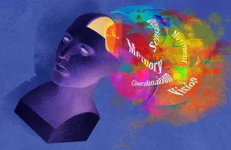 brain-categories complex and context-dependent