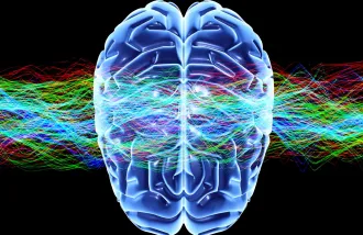 paralyzed man types with 95% accuracy by imagining letters