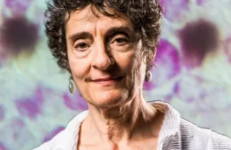 carla shatz curiousity