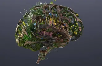 Mother nature drops human babies in the world as “un-programmed”