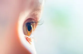 optic nerve formation and growth