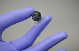 hand sensor holds blueberry