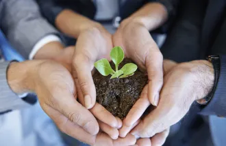 hands holding a small plant