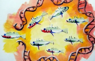 threespine stickleback, tiny fish 