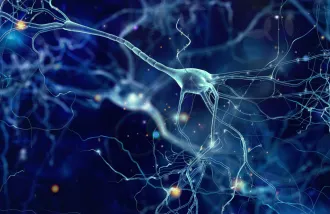 regenerate neurons