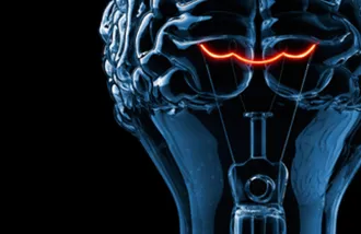 illustration of brain as a lightbulb