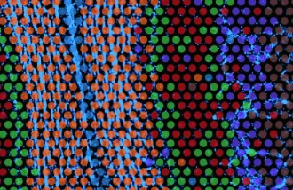 Ex-ST method is overlaid on tissue from the olfactory bulb