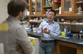 xiaoke chen paraventricular thalamus