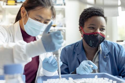 Summer 2021 NeURO fellow Temiloluwa "Temi" Babalola studies the genetics of Parkinson's disease with graduate student mentor Cindy Lin in the lab of Monther Abu-Remaileh. Photo by Andrew Broadhead.