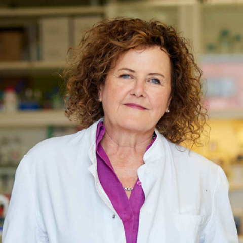 Headshot of Dr. Erin Schuman