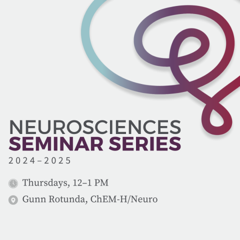 Bold font on a light grey background that says "Neurosciences Seminar Series, 2024- 2025". Below the title is "Thursdays, 12-1pm, "Gunn Rotunda, ChEM-H/Neuro". In the top right corner is a large version of the Wu Tsai Neuro logo, a single-swirly-lined image of a brain with a teal-purple-red gradient.