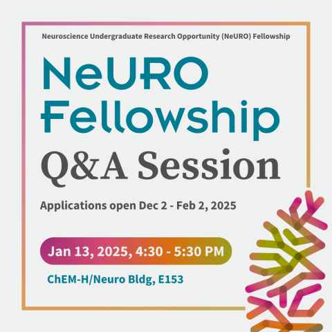 Flyer for the Neuroscience Undergraduate Research Opportunity (NeURO) Fellowship Q&A Session. Applications are open from Dec 2 to Feb 2, 2025. The session is on Jan 13, 2025, from 4:30 to 5:30 PM at the ChEM-H/Neuro Building, room E153.