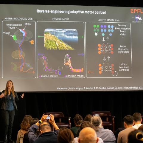 Mackenzie Mathis presents in front of a large screen at the 2024 Wu Tsai Neurosciences Institute Brains & Machines Symposium