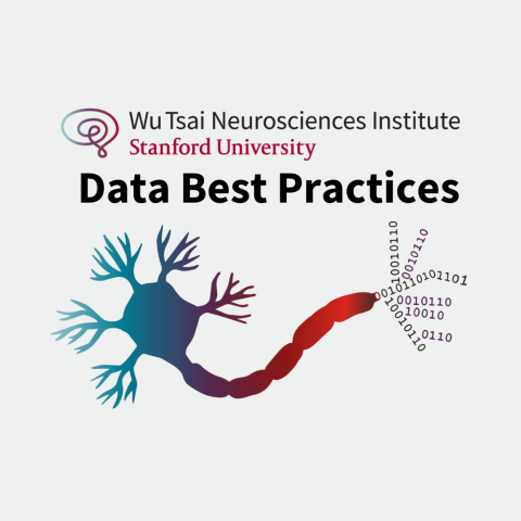 data best practices logo