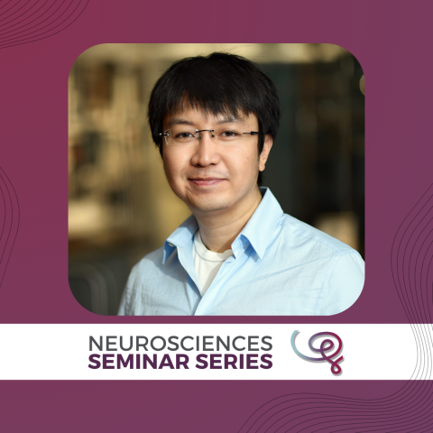 Headshot of Dr. Nuo Li framed with a purple border. A white banner at the bottom reads 'Neurosciences Seminar Series' next to the Wu Tsai Neuro logo.