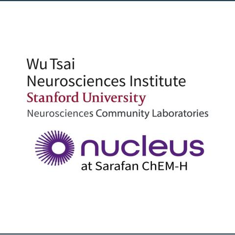 Wu Tsai Neurosciences Institute, Stanford University, Neurosciences Community Labs. Nucleus at Sarafan ChEM-H.