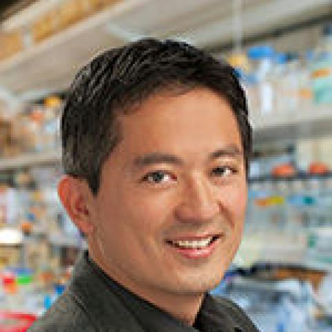 Takaki Komiyama