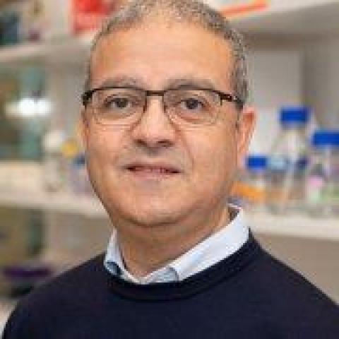 Abdel Manira