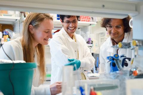 Postdoc scholars researching in a lab