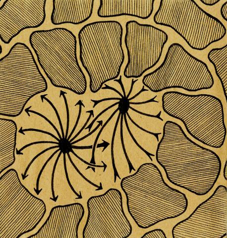 art of neuroscience art piece