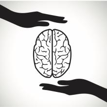 Neuroscience:Translate Grant Program | Wu Tsai Neurosciences Institute