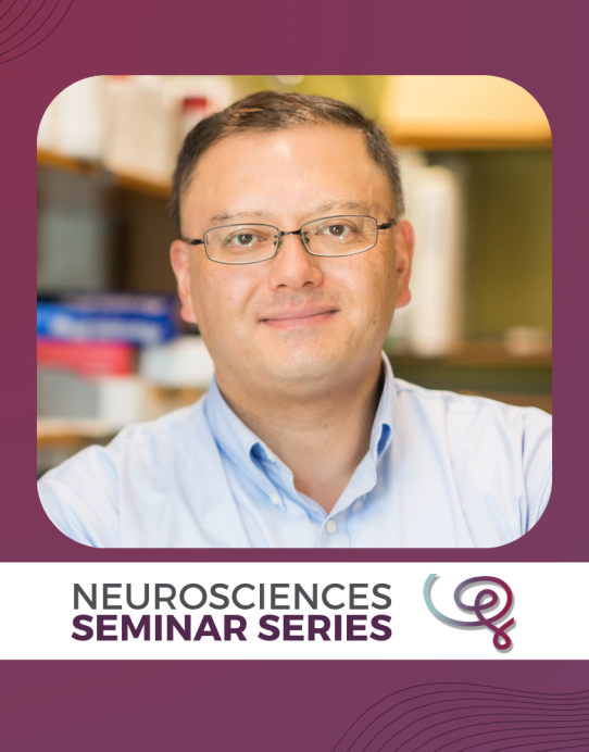 Headshot of Dr. Takao Hensch framed with a purple border. A white banner at the bottom reads 'Neurosciences Seminar Series' next to the Wu Tsai Neuro logo.
